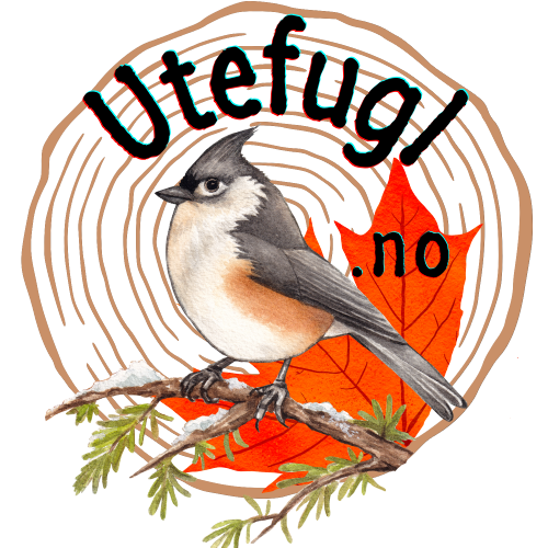 Utefugl.no logo