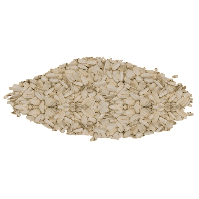 Sunflower Seeds White