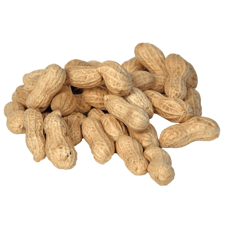Peanuts in shell 10 kg