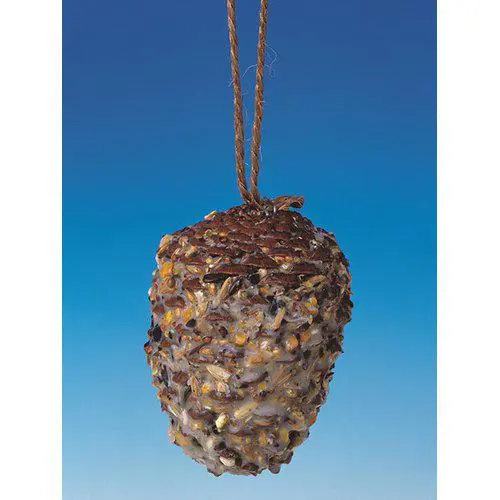 Kongle med fett ca. 300 gr