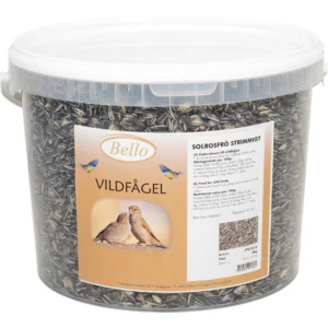 Striped sunflower seeds in 4 kg bucket outdoor bird