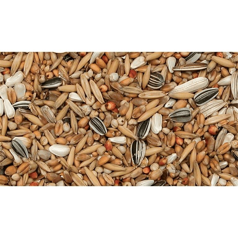 Wild bird mix Economy