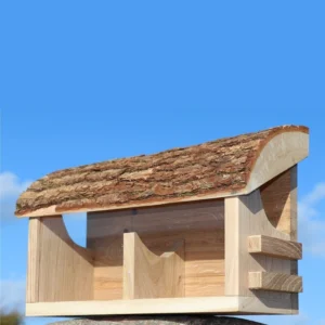 Squirrel buffet-front box squirrel-Oak tree