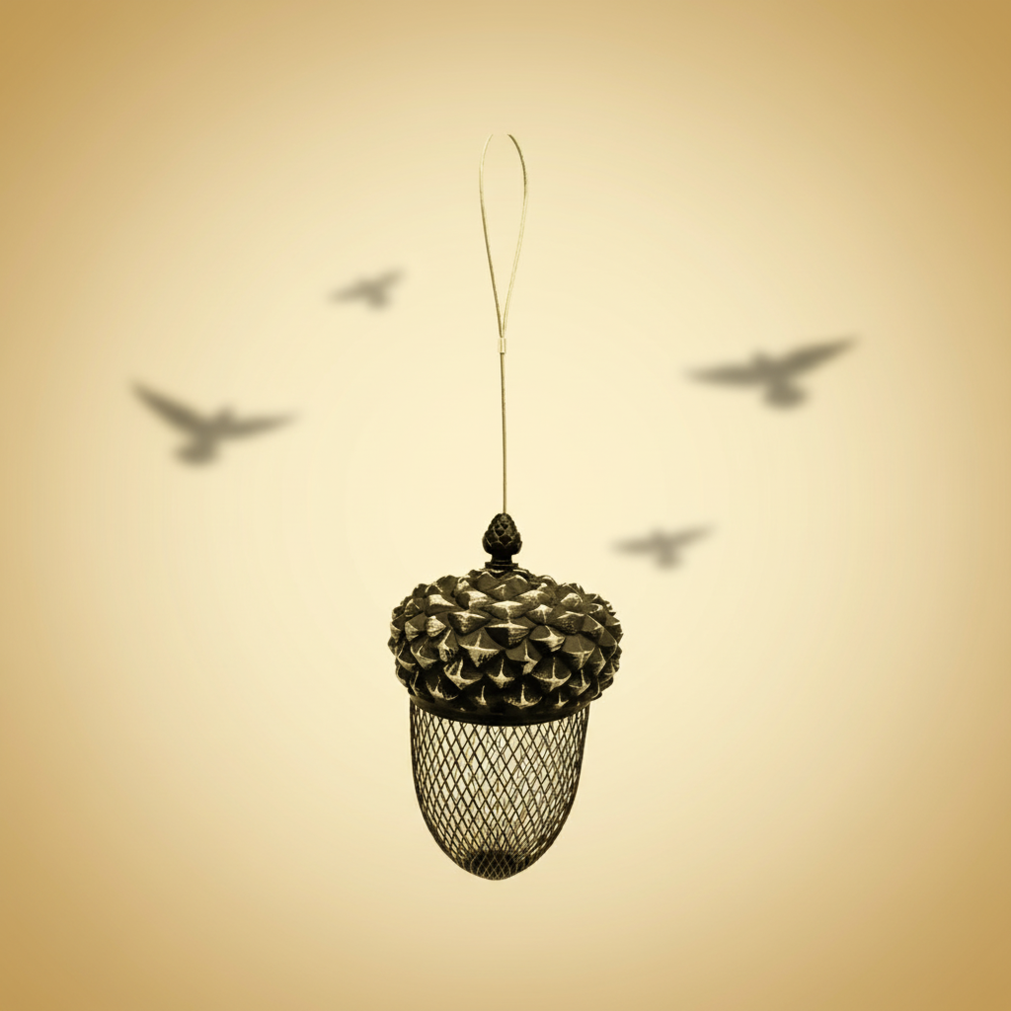 Hanging Bird Feeder Pine Cone 23cm