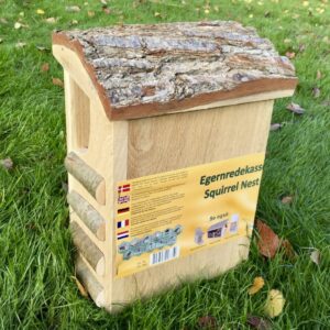 Ekorn redekasse i Eik