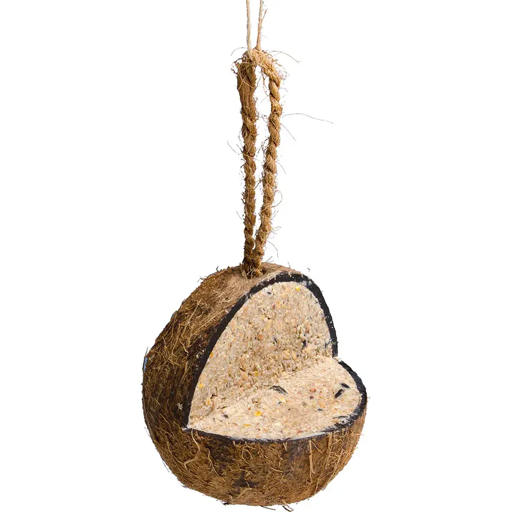 Kokosnøtt Med Plattform - talg og frø